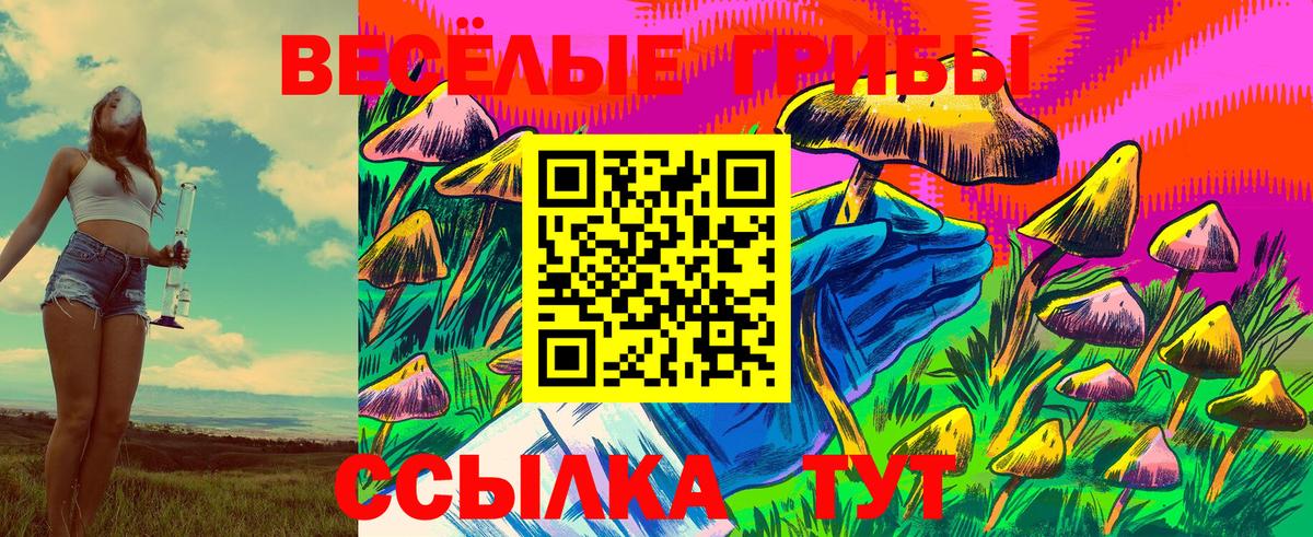 Псилоцибиновые грибы GOLDEN TEACHER  Вход с VPN  Конаково  Галлюциногенные грибы GOLDEN TEACHER 
