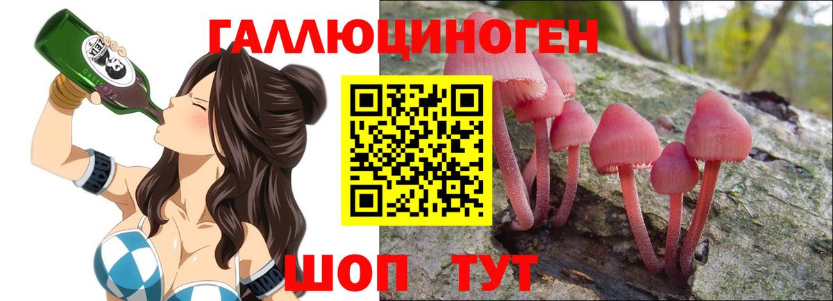 Псилоцибиновые грибы Psilocybine cubensis Конаково